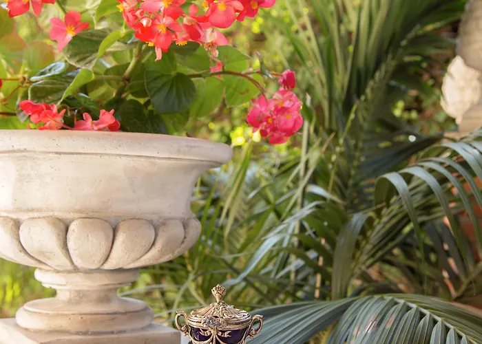 Bed & Breakfast Oriani Roma