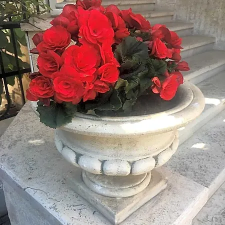 Oriani
