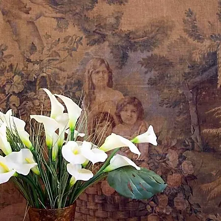 Oriani Couette-café
